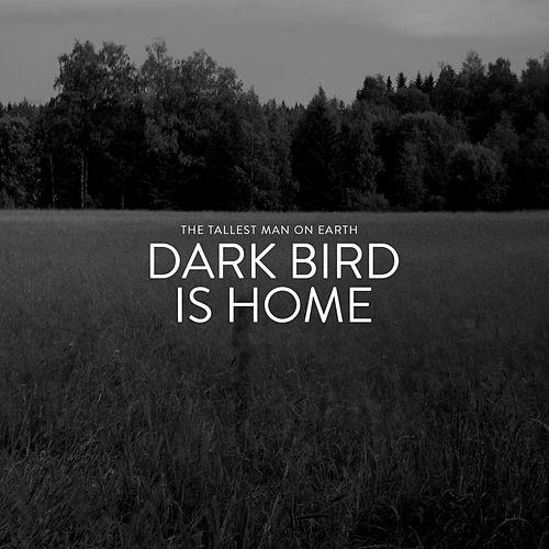 dark bird is home