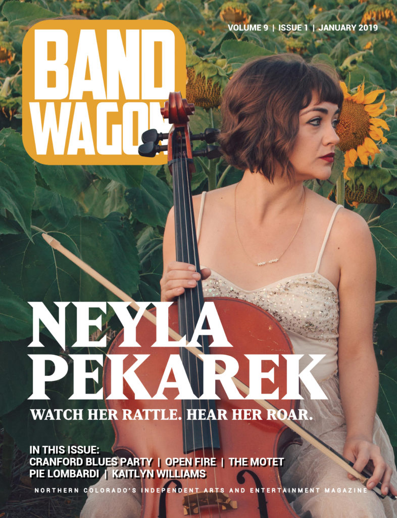 January 2019 - Neyla Pekarek